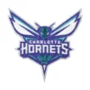 Charlotte Hornets Team Logo Patch