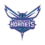 Charlotte Hornets MLB Team Logo Patch