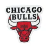 Chicago Bulls wordmark logo patch
