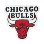Chicago Bulls Retro Wordmark Logo Patch