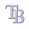 Tampa Bay Rays White TB logo Patch