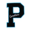 Carolina Panthers Block 'P' Logo Patch