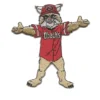 Arizona D-Backs Mascot Patch