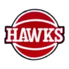 Atlanta Hawks Basketball Team Logo Patch