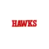 Atlanta Hawks Red Wordmark Logo Patch