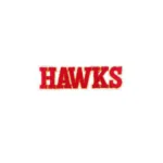 Atlanta Hawks Red Wordmark Logo Patch
