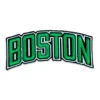 Boston Celtics 3D Wordmark Logo Patch