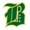 Boston Celtics "B" Letter Logo Embroidered Patch