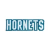 Charlotte Hornets wordmark Logo patch