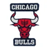 Chicago Bulls Classc Bull Logo Patch