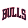 Chicago Bulls Red/Black Bulls Wordmark Logo Patch