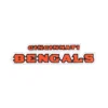 Cincinnati Bengals Orange Wordmark Logo Patch