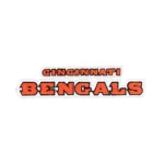 Cincinnati Bengals Orange Wordmark Logo Patch