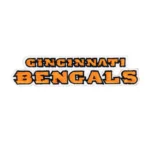 Cincinnati Bengals Text Script Logo Patch