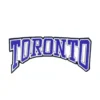Toronto Arched Letters Blue Font Patch