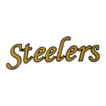 Pittsburgh Steelers Retro Wordmark Logo Patch