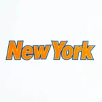 New York Knicks "New York" Orange Wordmark Logo Patch