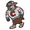 Carolina Hurricanes Stormy Pig Mascot Logo Patch