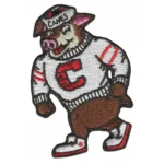 Carolina Hurricanes Stormy Pig Mascot Logo Patch