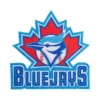 Toronto Blue Jays Baseball Team Logo Patch