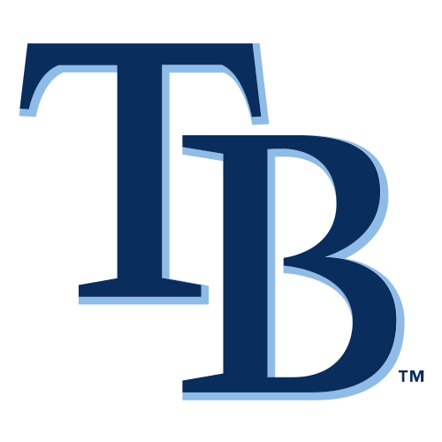 Tampa Bay Rays Patches