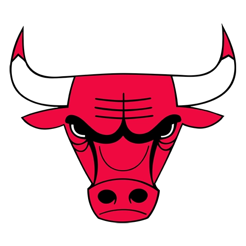 Chicago Bulls Patches