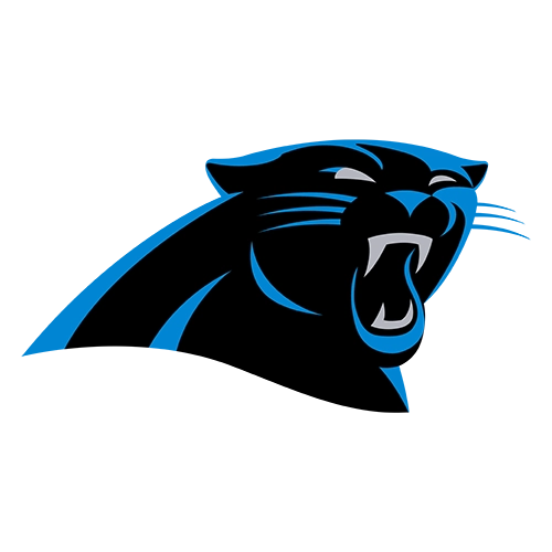 Carolina Panthers Patches