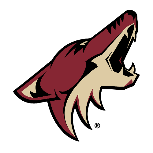 Arizona Coyotes Patches