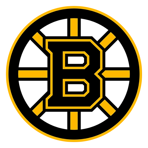 Boston Bruins Patches